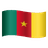 logo Cameroon